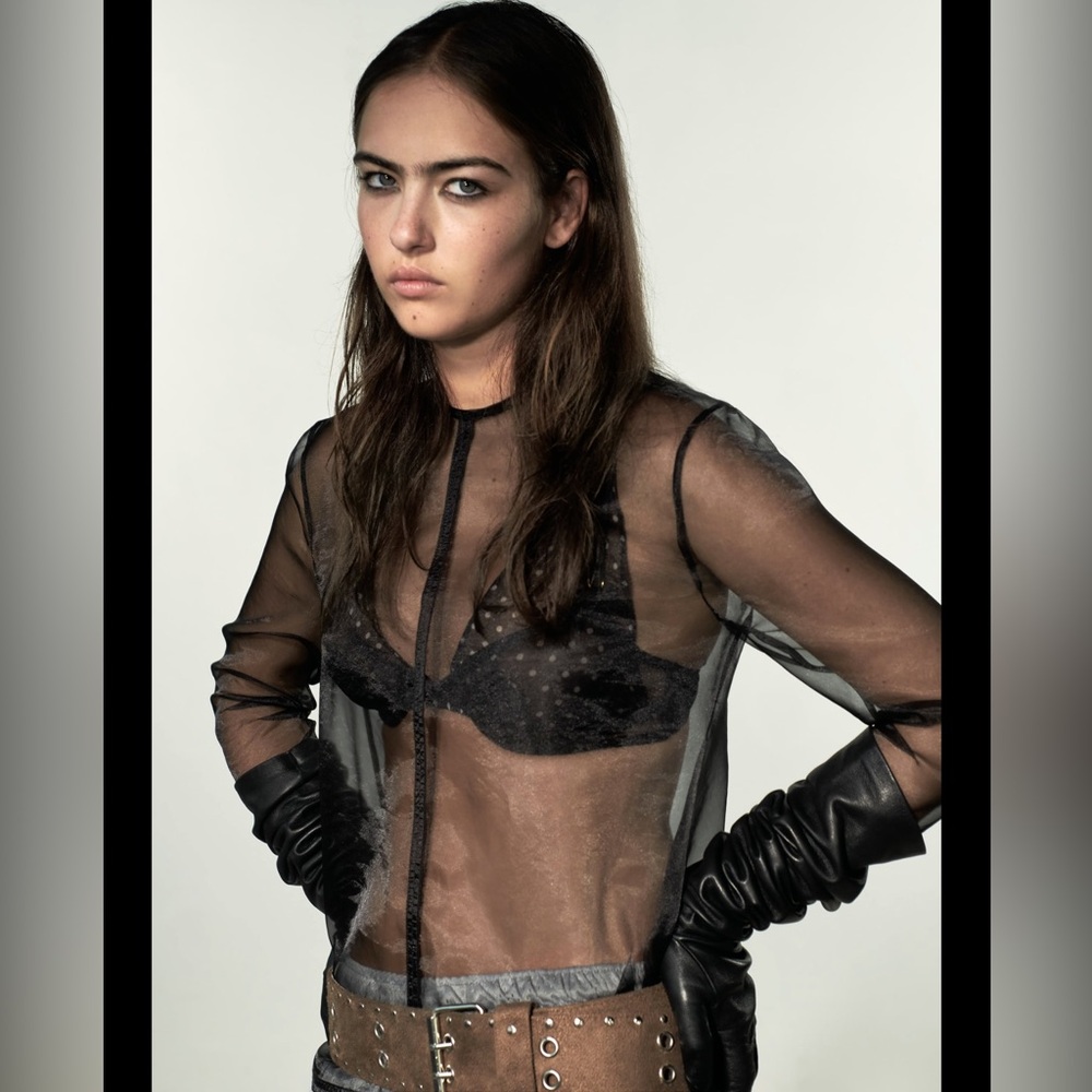 Zara organza top